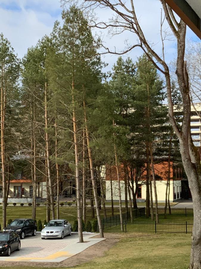 Alejos Apartmentai Comfort ドルスキニンカイ エクステリア 写真
