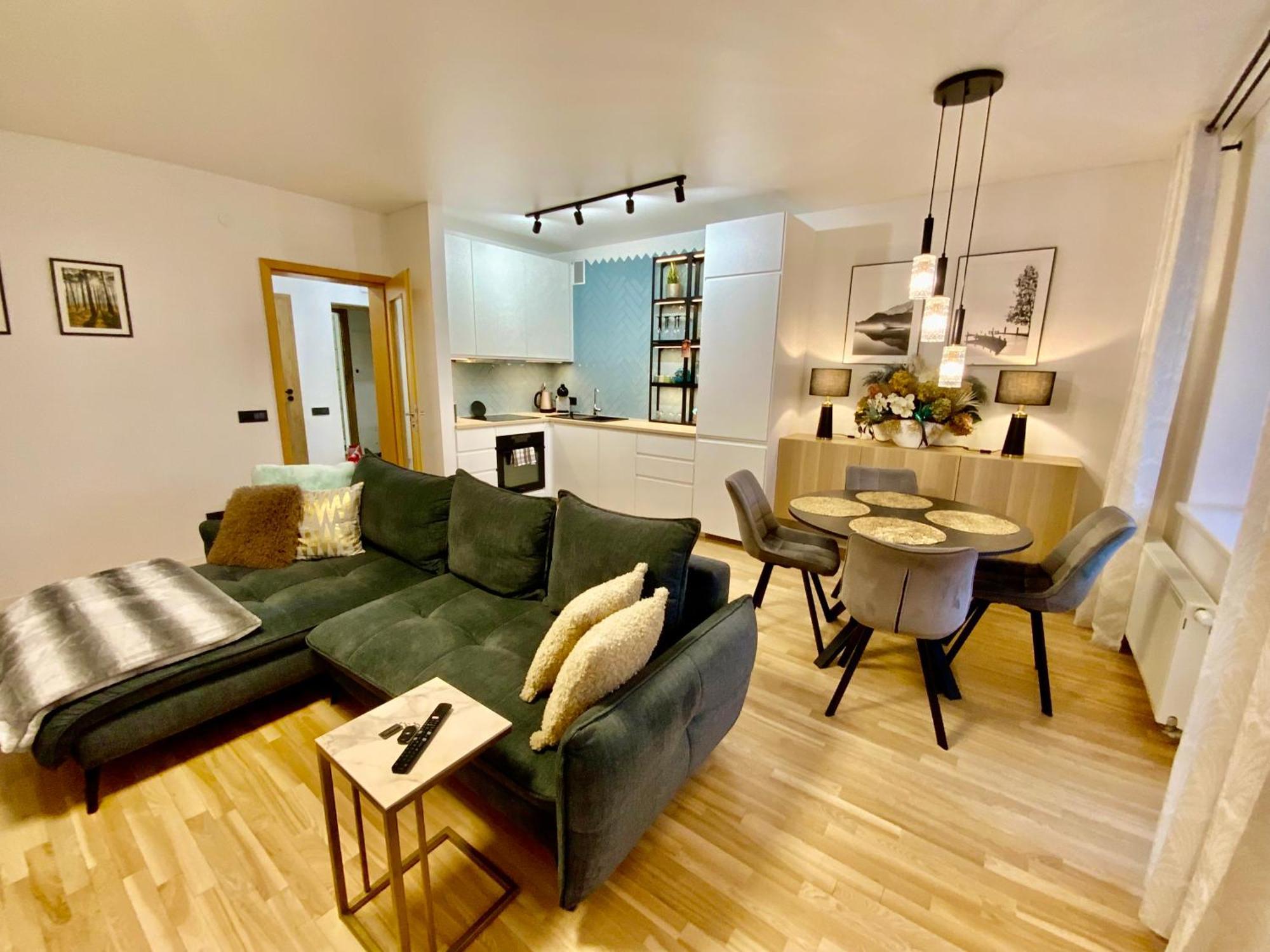 Alejos Apartmentai Comfort ドルスキニンカイ エクステリア 写真